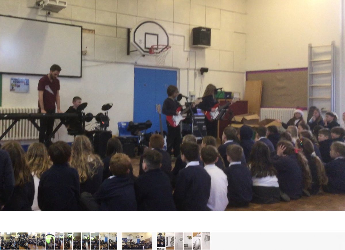 Albatrosses tweet media