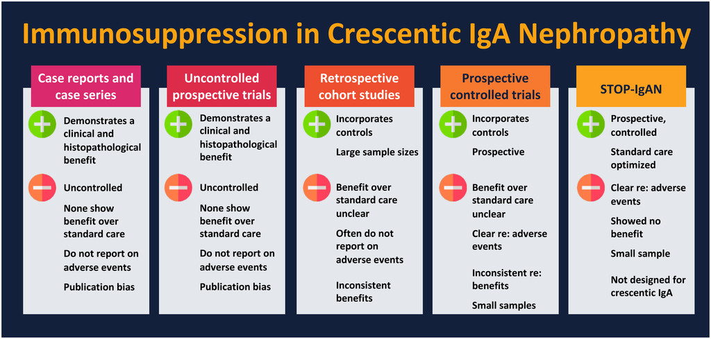 The temptation to use immunosuppression in crescentic IgAN is strong, but is it appropriate? Check out a case study: bit.ly/30ibCaW #IgANephropathy