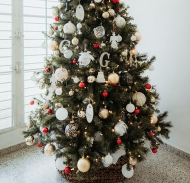 Looking for a locally-grown Christmas tree? Check out peterboroughfarmfresh.ca
Know of any other local growers that still have trees available? Message us so we can keep the page up-to-date!