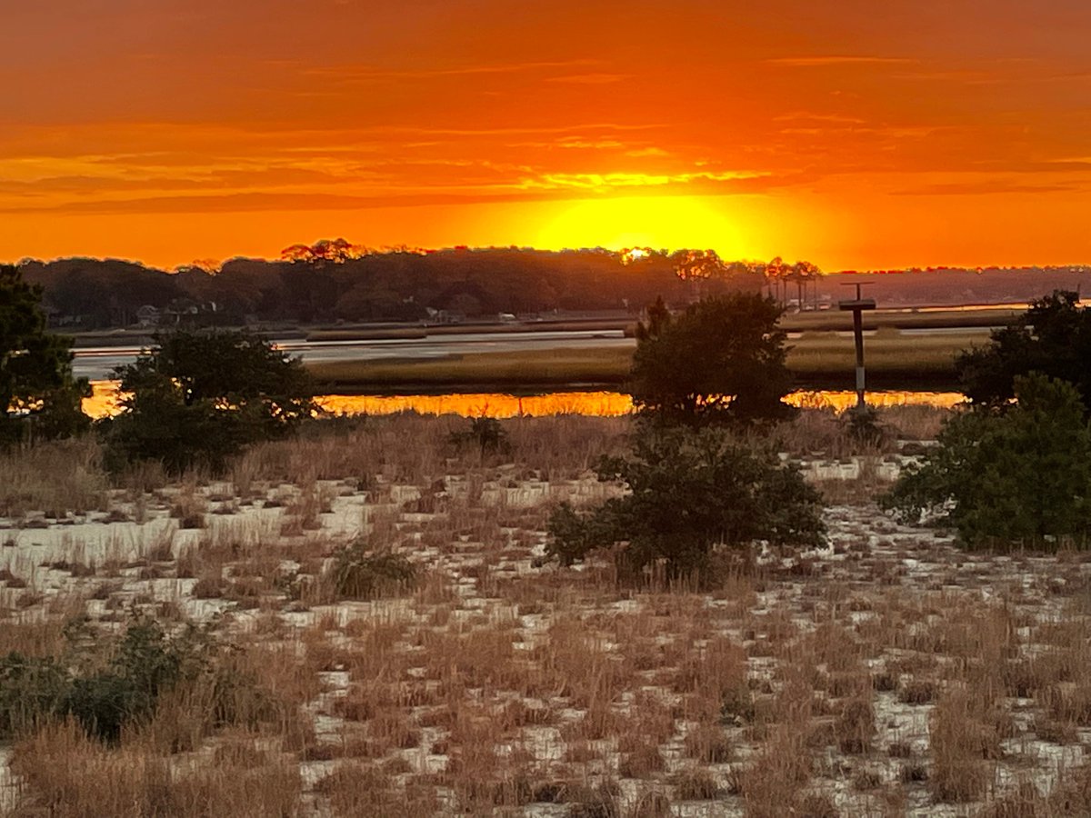 VBEnvStudies's tweet photo. A beautiful sunrise and an exciting day building beehives for an apiary we are establishing at the Brock center! https://t.co/hr4pW4R2UY