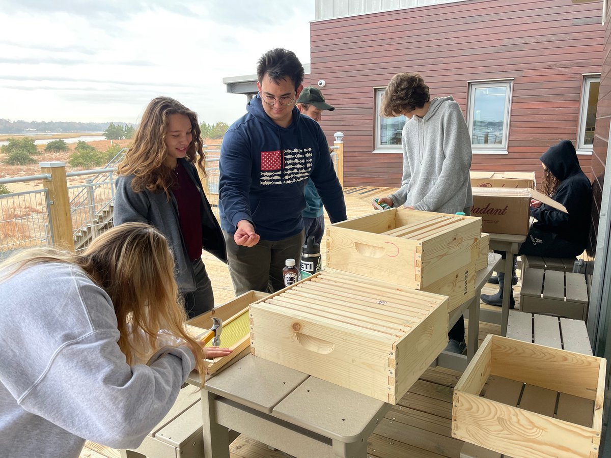 VBEnvStudies's tweet photo. A beautiful sunrise and an exciting day building beehives for an apiary we are establishing at the Brock center! https://t.co/hr4pW4R2UY