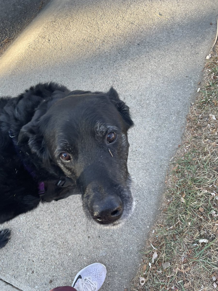 Grace Chamberlain tweet media