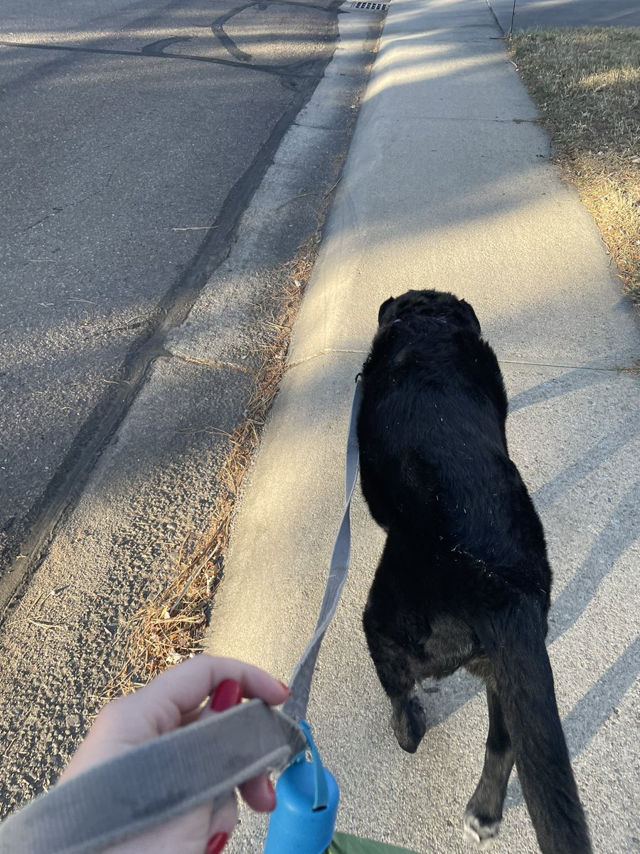 Grace Chamberlain tweet media