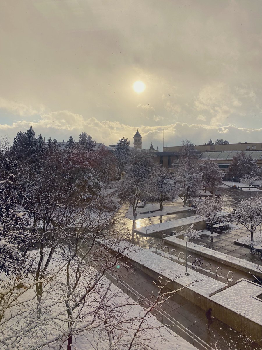 RachelHBonner's tweet photo. Campus looks beautiful, our Future Aggies are arriving which means it’s finally, 

OFFICIAL VISIT WEEKEND 😍 
#HurdEmUp22 | #AggiesAllTheWay https://t.co/H1ogY4Mb3l