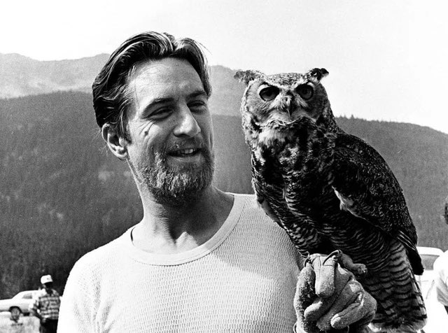 ddoniolvalcroze's tweet photo. Robert De Niro admiring an owl on the set of The Deer Hunter (1976) https://t.co/BrTqtsV0dY