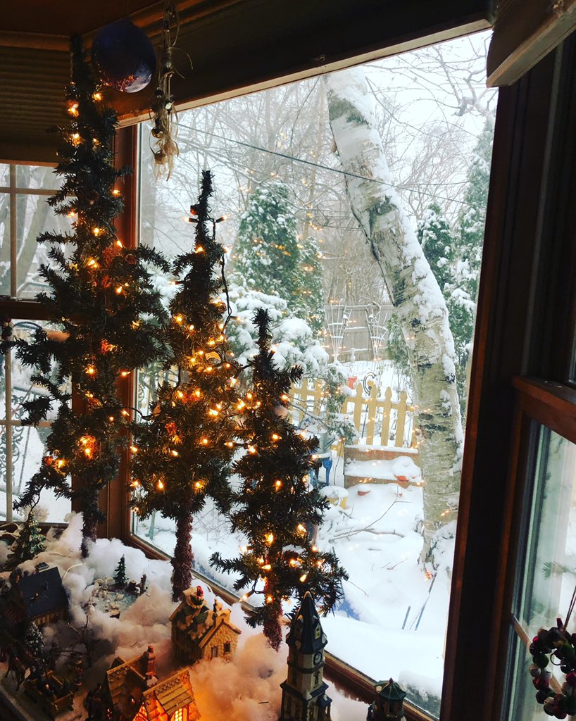LeesaAuthor's tweet photo. Let it snow… https://t.co/nYt3MSHClx