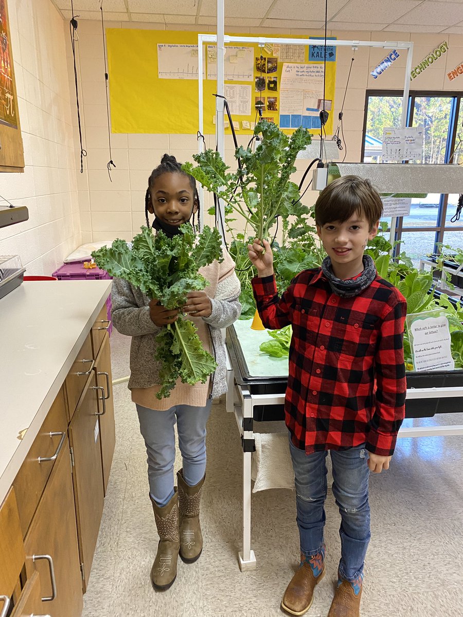 We learned that the white grow light produced twice as much as the yellow grow light!  What to do with 15 pounds or 6,804 grams of kale?  <a href="/Hubbard_Elem/">Hubbard Elementary</a>