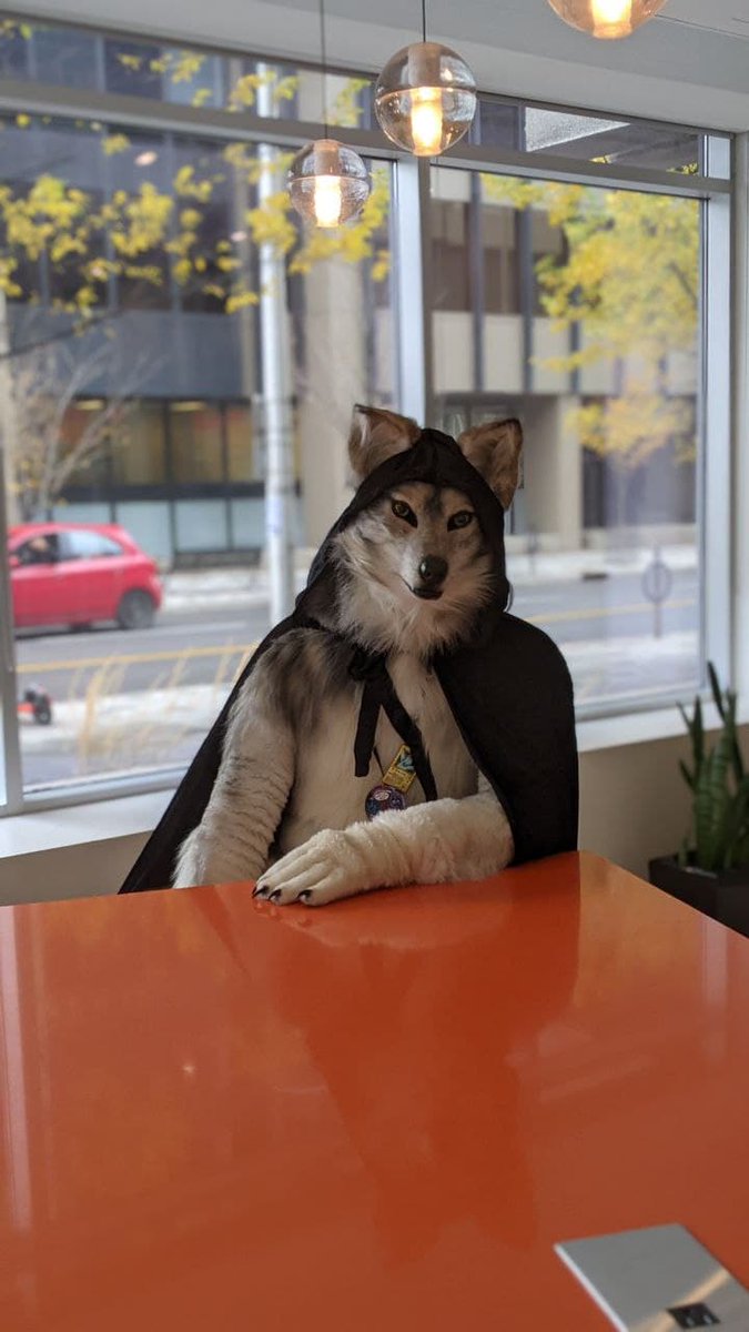 MysticSoulWolf's tweet photo. Oh good, I'm glad you were able to make it for dinner.
#FursuitFriday @FursuitPursuits #CFBiT.
๐ทtaken by @prplhaze at @Canfurence 2021. https://t.co/kN5yOQkorr