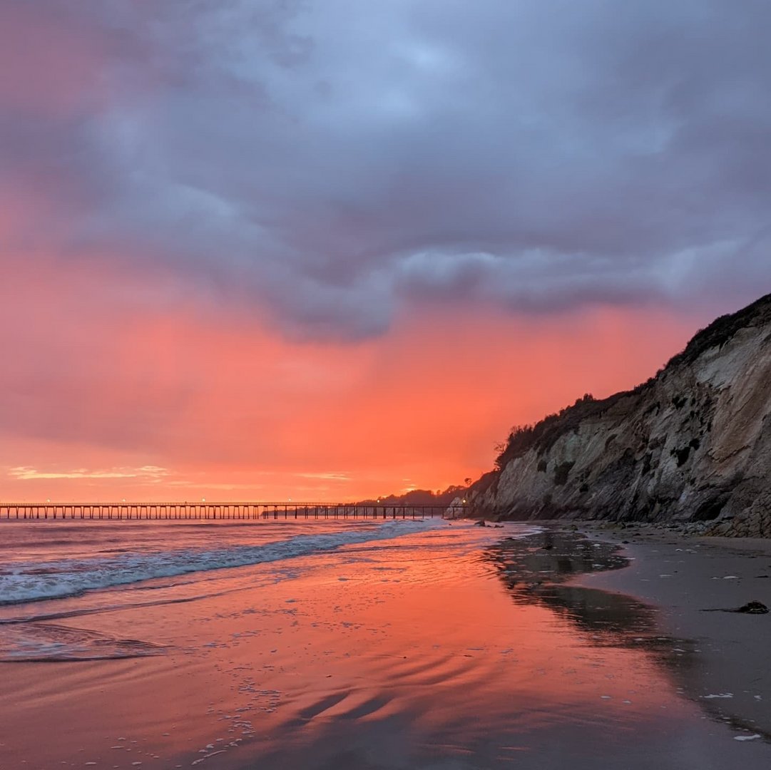 Visit Santa Barbara tweet media