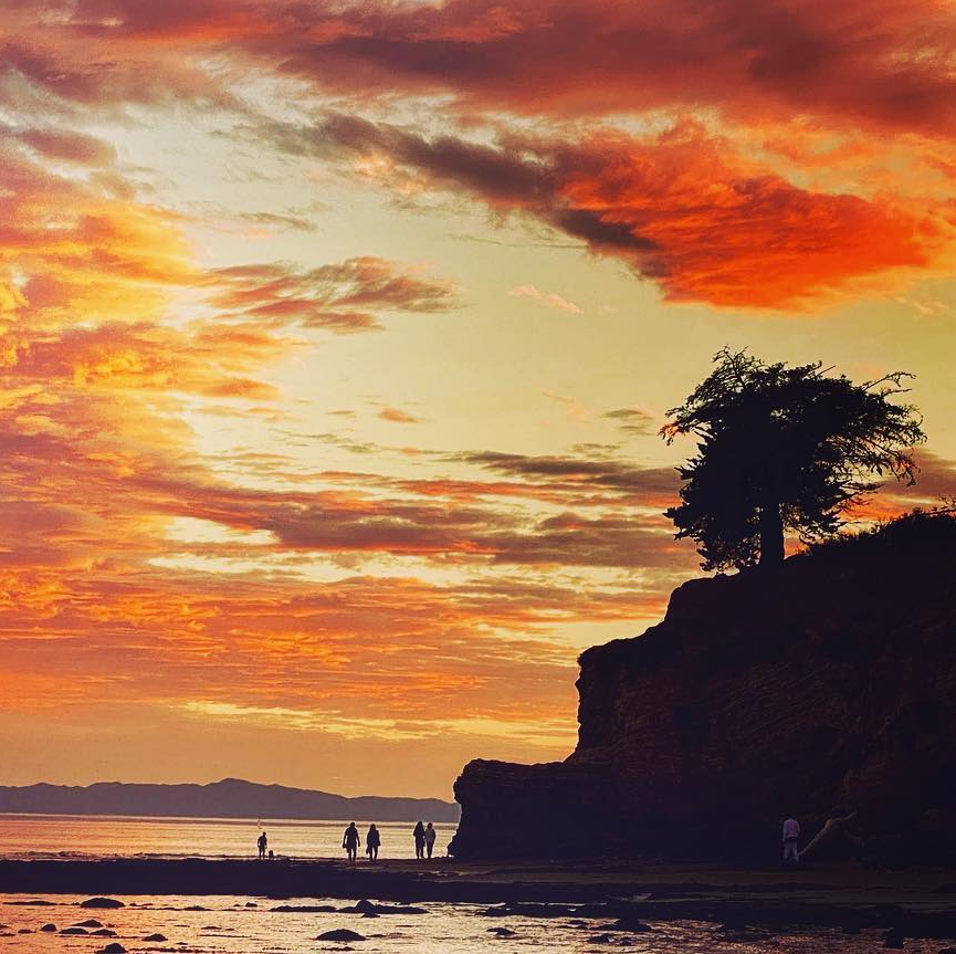 Visit Santa Barbara tweet media