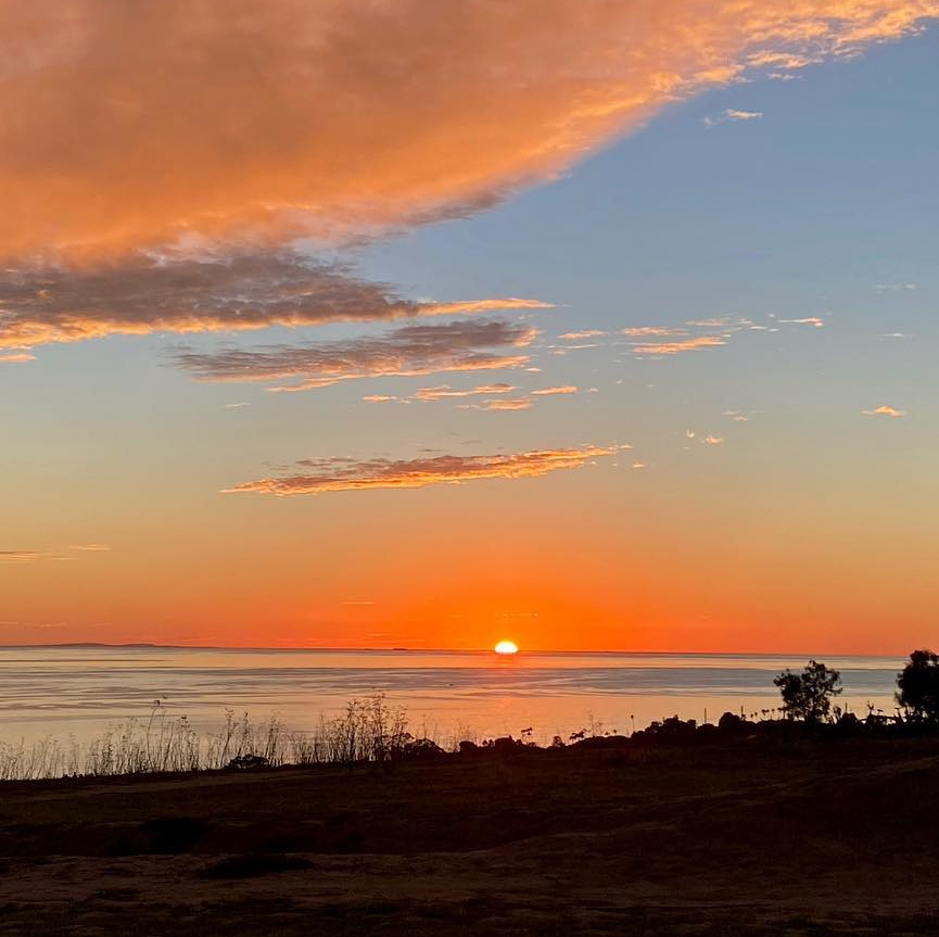 Visit Santa Barbara tweet media