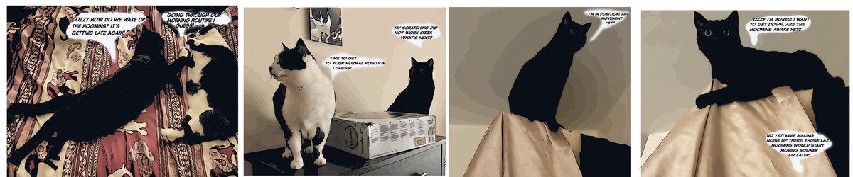 Ripley_DM's tweet photo. Today Ozzy talks in his blog about the methods he uses to wake up those lazy hoomins in the mornings: https://t.co/kl7CYadpEY

Read all about Ozzy's and Tolkien's adventures at home on their comic, Life with Ozzy and Tolkien at: https://t.co/VYsSHbGTTA https://t.co/oVlQsnAMAj