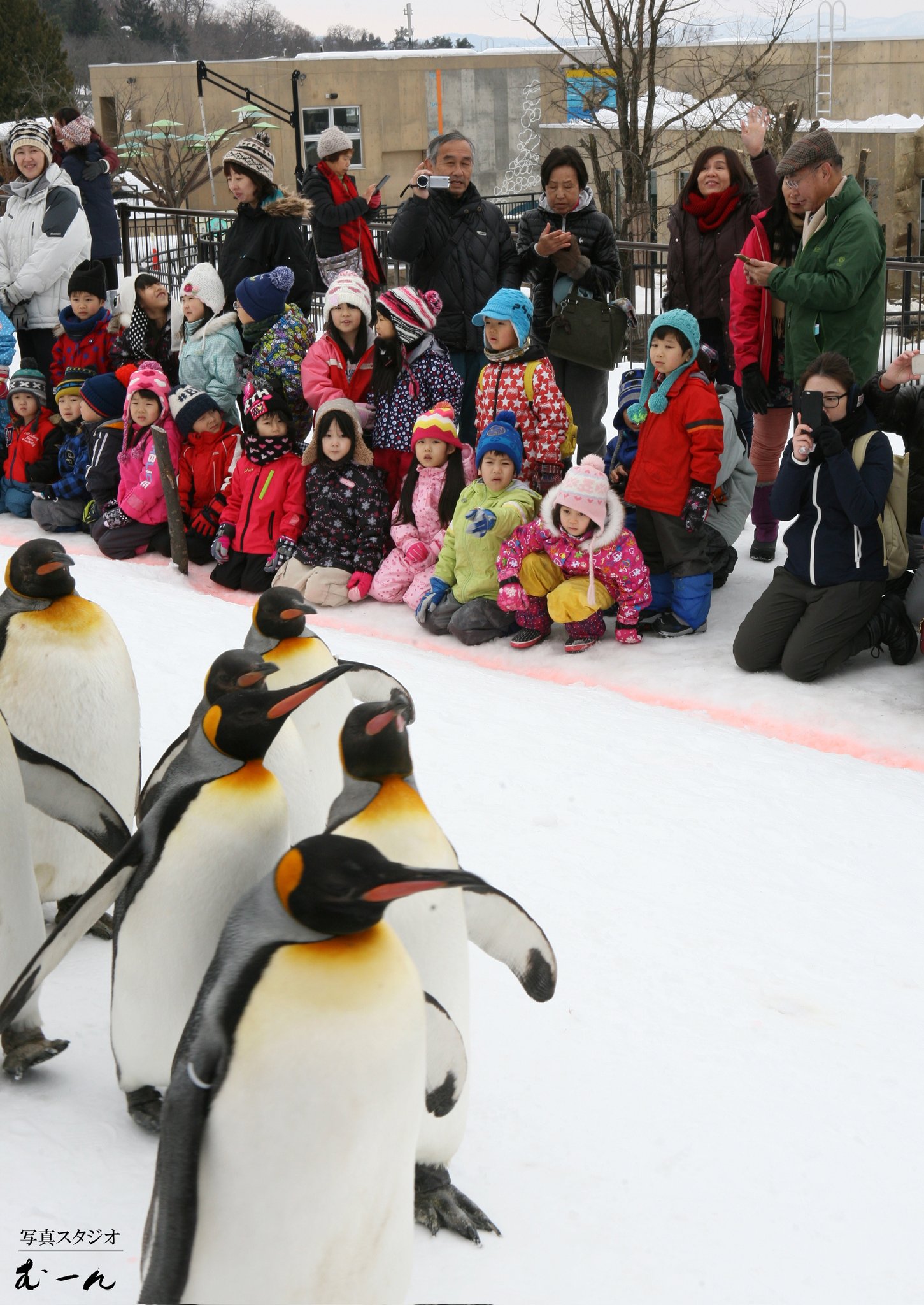 写真スタジオむーん 北海道旭川市の写真スタジオ Photostudiomoon Twitter