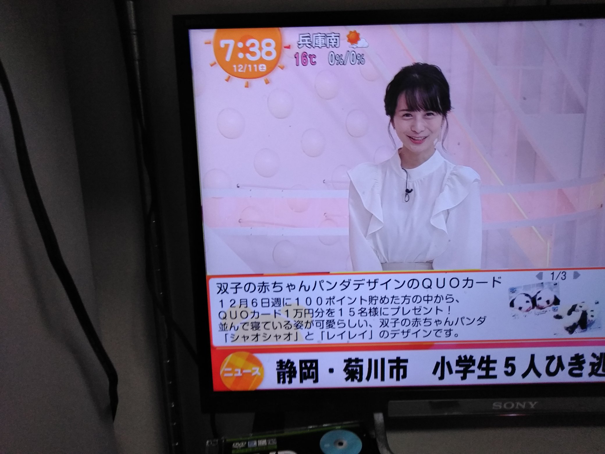 やっち on X: 