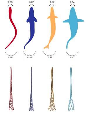 LabLiao's tweet image. Liao lab challenges classical fish swimming categories with Harvard colleagues in recent PNAS publication! @valedisanto, @GoerigElsa, @georgelauder, Otar Akanyeti, Dylan Wainwright, Ted Castro-Santos