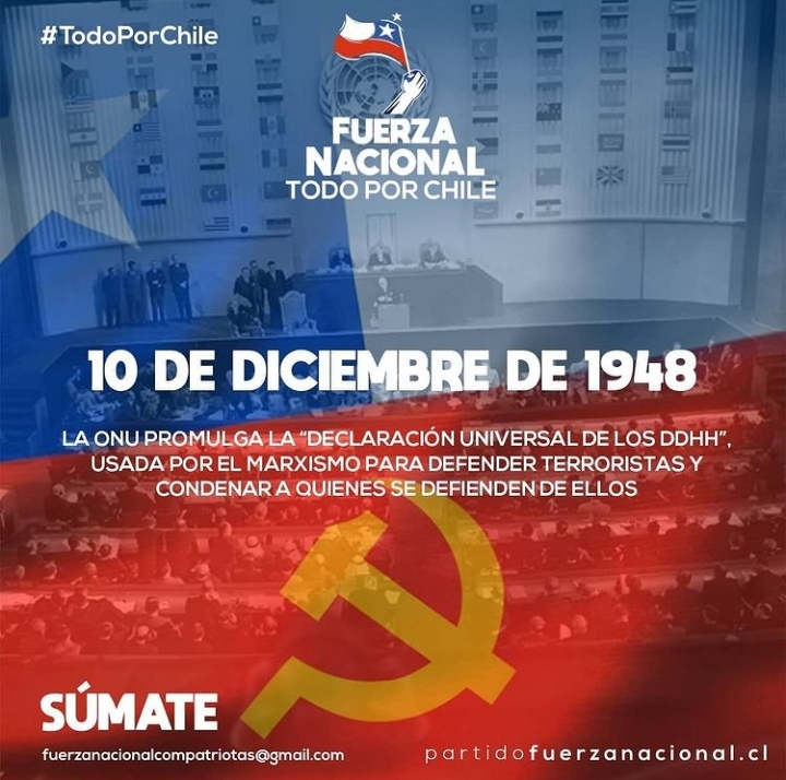 Fuerza Nacional Chile tweet media