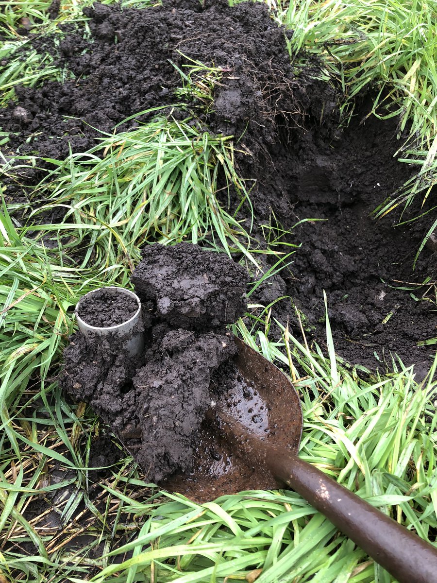 Marine Valmier (@mvalmier) on Twitter photo In the latest episode of #fieldwork, I present you #PeatSoil bulk density sampling, aka channeling your inner child and making holes in the rain 🥶 Almost a #PieceOfCake, #PeatTwitter will get it 😜🍫🍰 #PhDlife #whatwedoforscience #irishweather 🍀💦 <a href="/TCD_NatSci/">School of Natural Sciences, Trinity College Dublin</a> In the latest episode of #fieldwork, I present you #PeatSoil bulk density sampling, aka channeling your inner child and making holes in the rain 🥶 Almost a #PieceOfCake, #PeatTwitter will get it 😜🍫🍰 #PhDlife #whatwedoforscience #irishweather 🍀💦 <a href="/TCD_NatSci/">School of Natural Sciences, Trinity College Dublin</a>