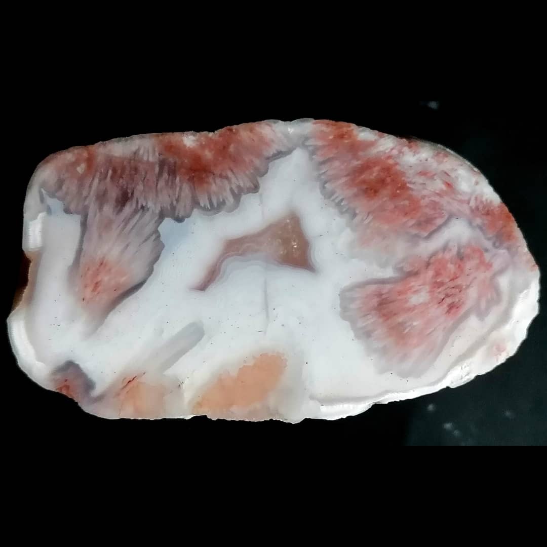 Recently cut Lunan piece, collected in 2018. 51mm.