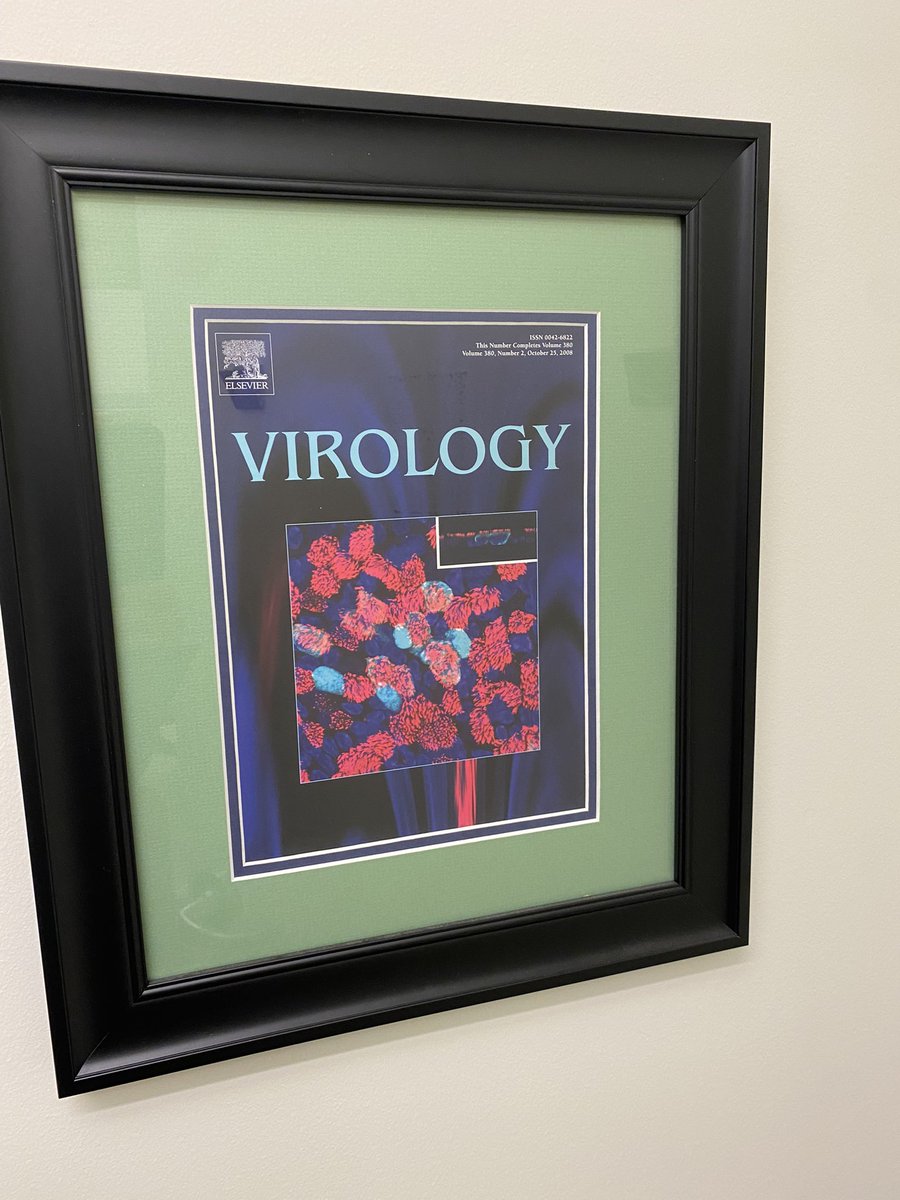 srschaecher's tweet photo. Back in my office for the first time in 2 years to empty it as we prepare for a new hybrid workspace. As I take down this Virology Journal of our SARS-CoV airway model, I must chuckle at the irony - a related coronavirus is why I have to empty my office. #SARS_CoV #COVID @Bayer https://t.co/owhN7ysAqG