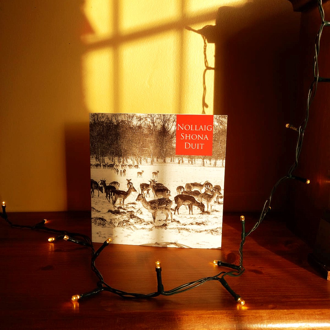 KellyCardsLtd's tweet photo. Irish Christmas cards supporting the Irish charity ALONE. There are eight cards in a pack. Special cards to send to your nearest and dearest to send seasons greetings, and at the same time support ALONE.
#irishchristmas #phoenixpark #whitechristmas #ALONE #buyirishonline https://t.co/Zk3Yg5jDYh