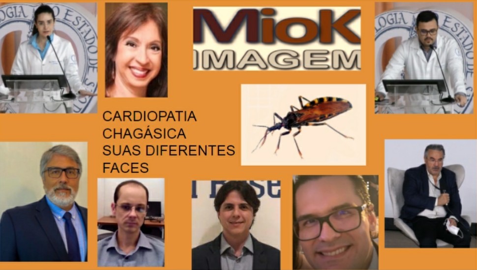 amiloidosedante's tweet photo. Cardiopatia Chagásica e suas diferentes faces

https://t.co/EY3xAPcoH9 https://t.co/phxSvDa4fJ