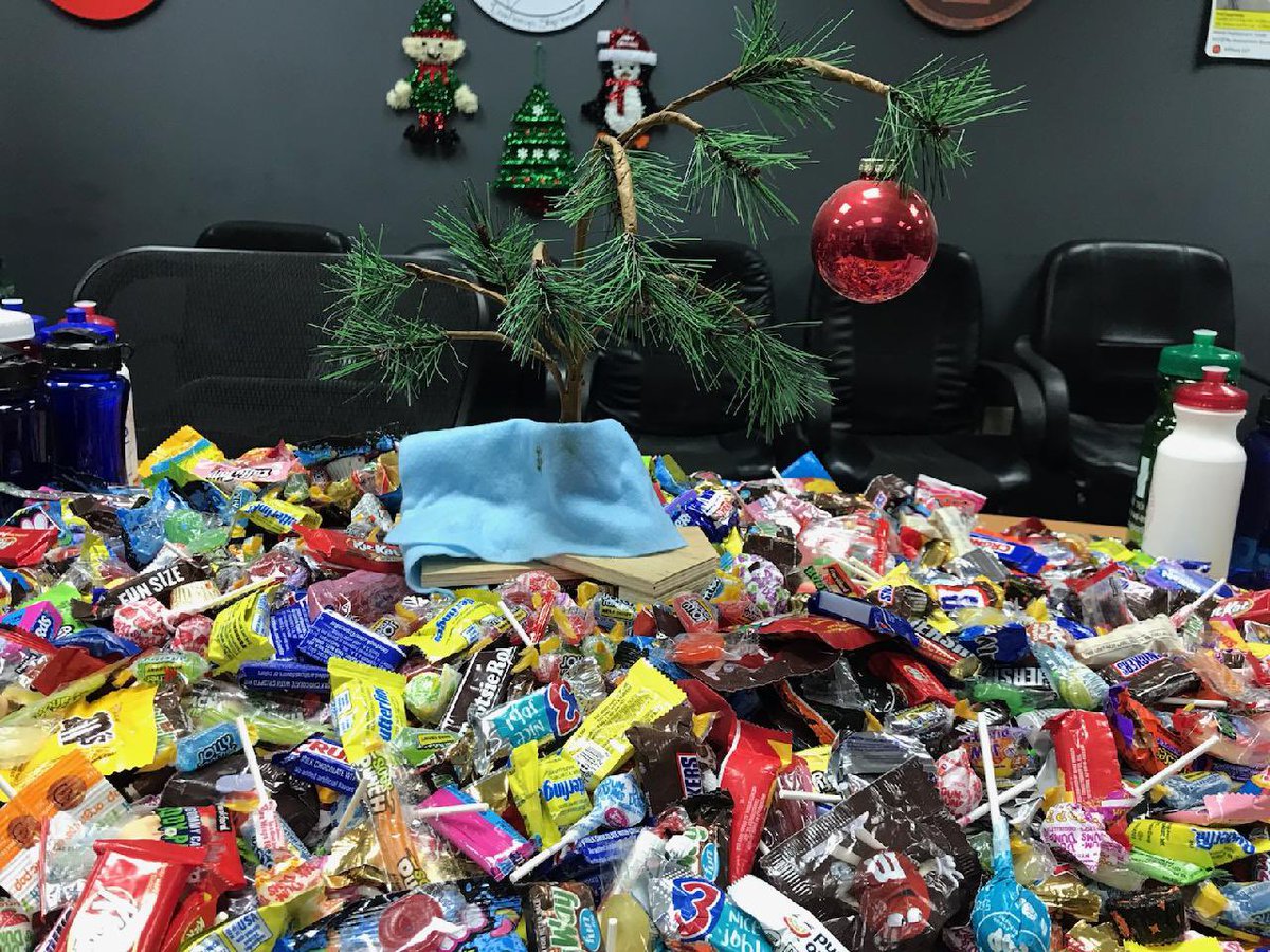 Mrs. Kate Ryan tweet media