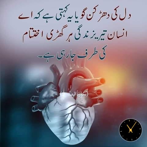 ImranRajpot16's tweet photo. https://t.co/J9DW0BOxig