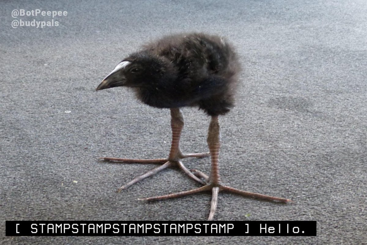 dragon princess! (@taminggdragons) on Twitter photo 