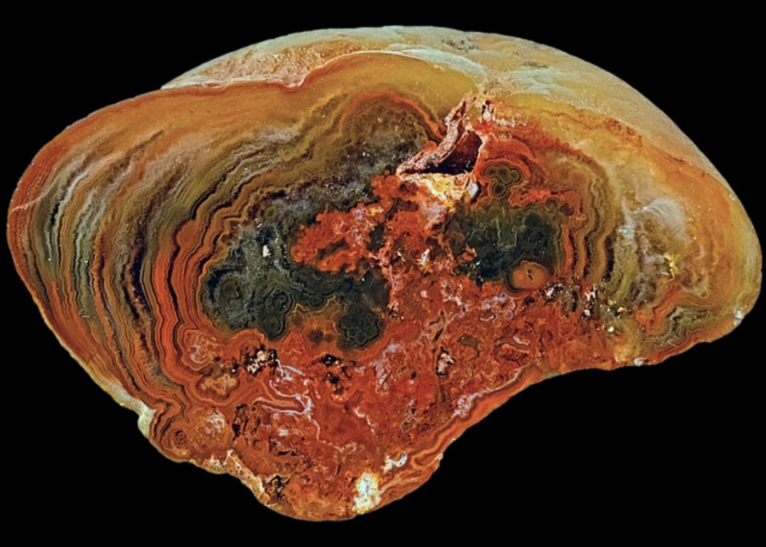 St Cyrus area, 33/20mm.