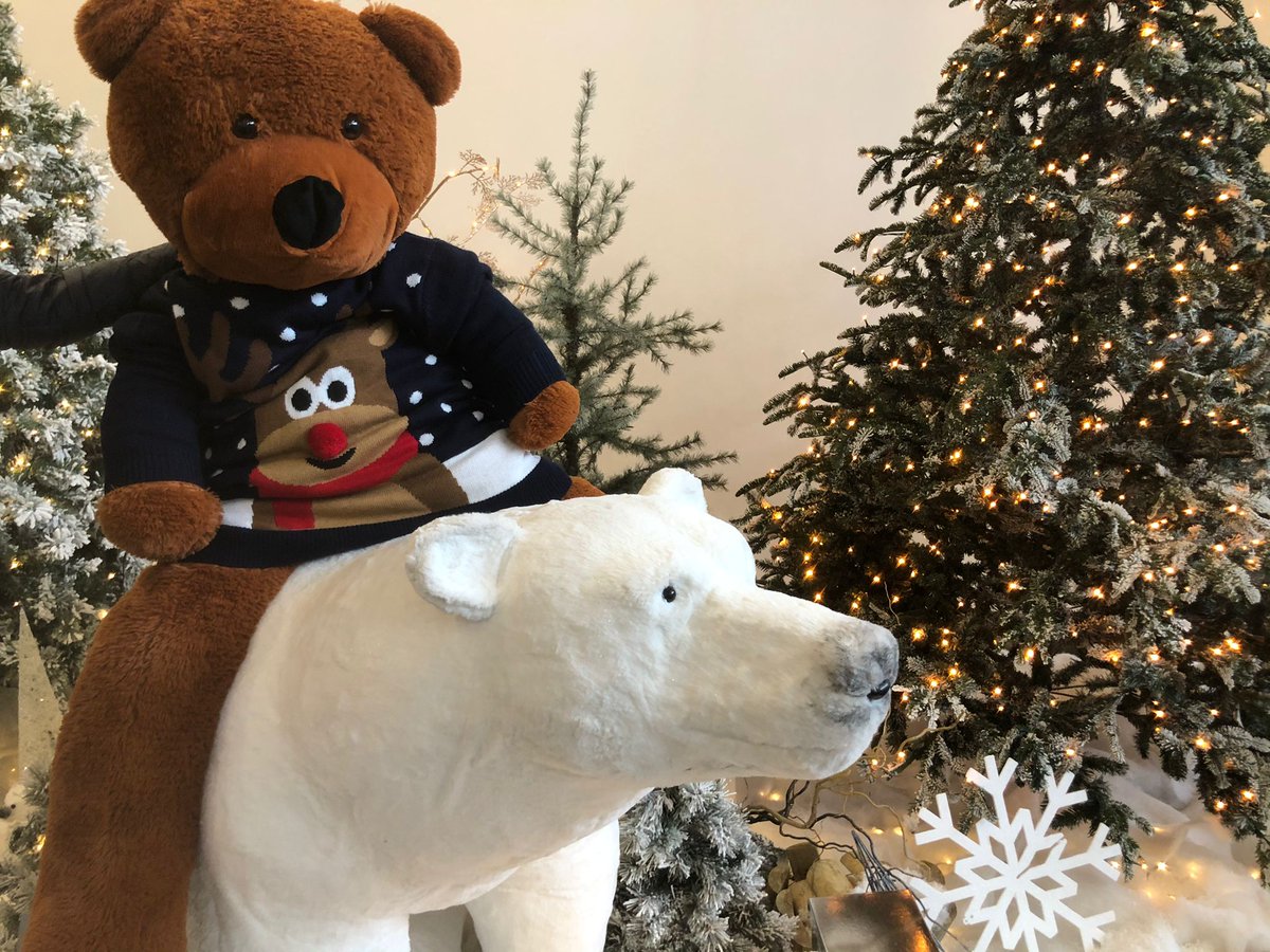 Theodore Bear tweet media