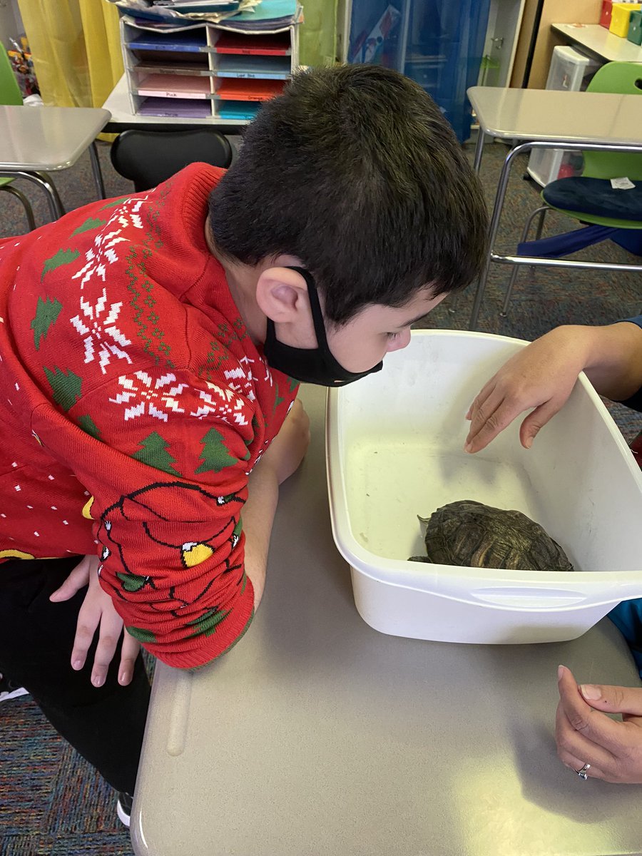 MsAllisonECS2's tweet image. Today we met Franklin! #inclassfieldtrip #franklintheturtle @LJWood_LHECMES #lhecmes