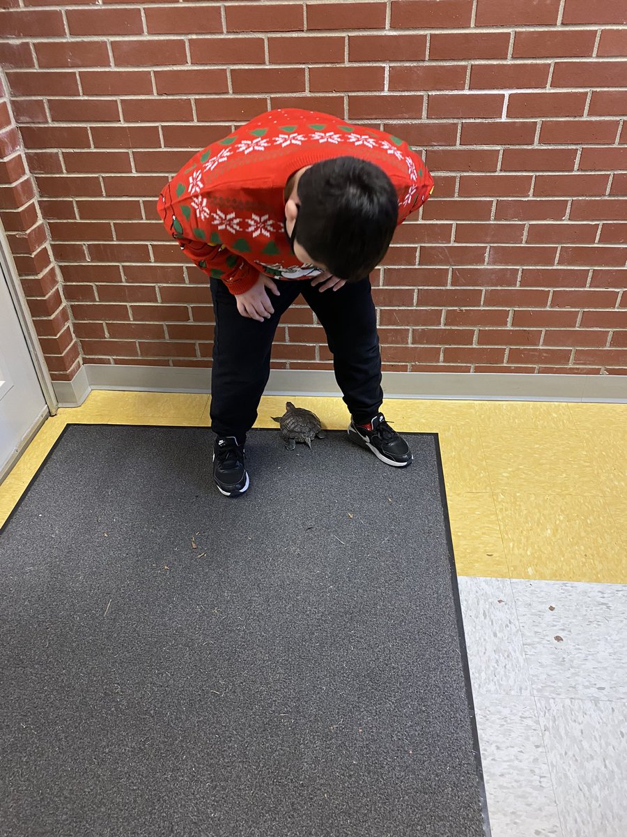 MsAllisonECS2's tweet image. Where’d ya go? #franklintheturtle #ECS2 @LJWood_LHECMES