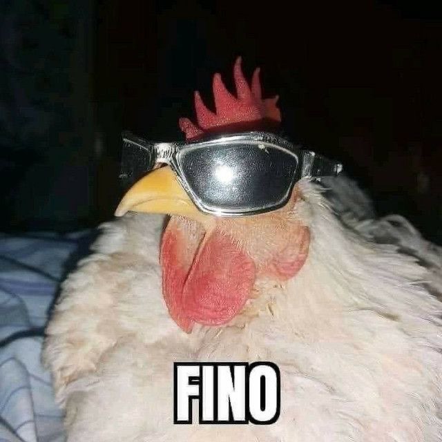 ChimpanceJr's tweet photo. @YoInterneto @KFC_ES Asi son los pollos escojidos del KFC https://t.co/KI9erOXbUm