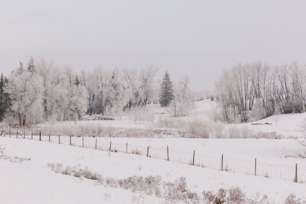 LegacyCalgary's tweet photo. Best part of being so close to the environmental reserve in #LegacyYYC is that you can enjoy outdoor activities no matter the time of the year! https://t.co/HibPXvtQyC