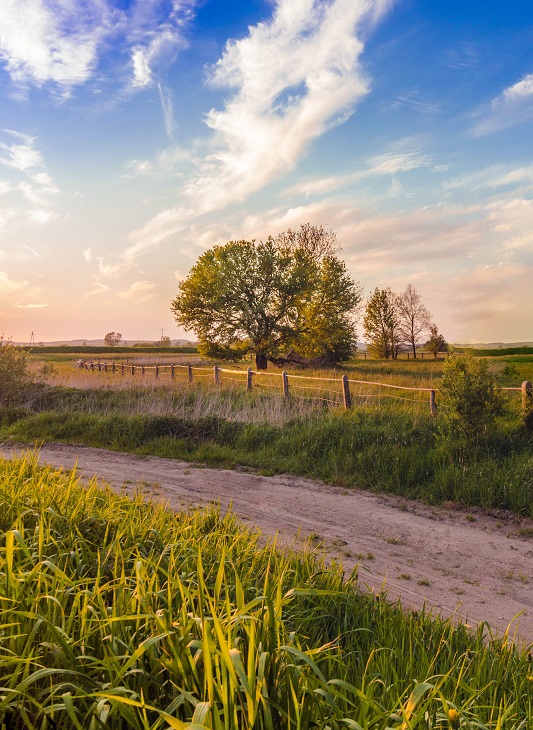 FarmLoanCenter's tweet photo. Looking for rural home loans to make your dream of rural living a reality? The Farm Loan Center can help. Call us at (800) 644-9039.

https://t.co/QzSz6lYgCR

#FarmLoans #RuralHomeLoans #TheFarmLoanCenter #VARuralHomeLoans https://t.co/wWidOed71c