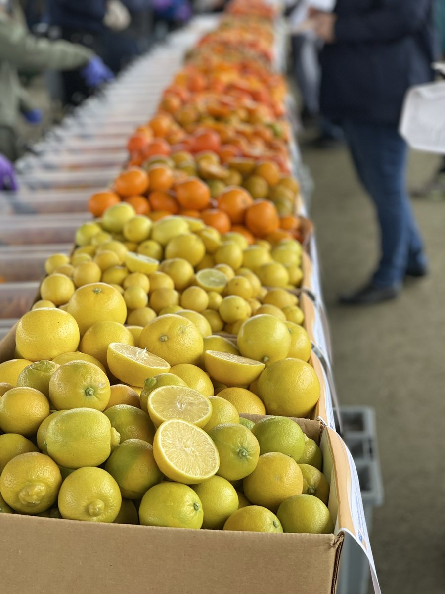 Grower day/Citrus industry at Lindcove Fruit Display &amp; Tasting 9am-noon #ag #citrus #tasting #ucanr
