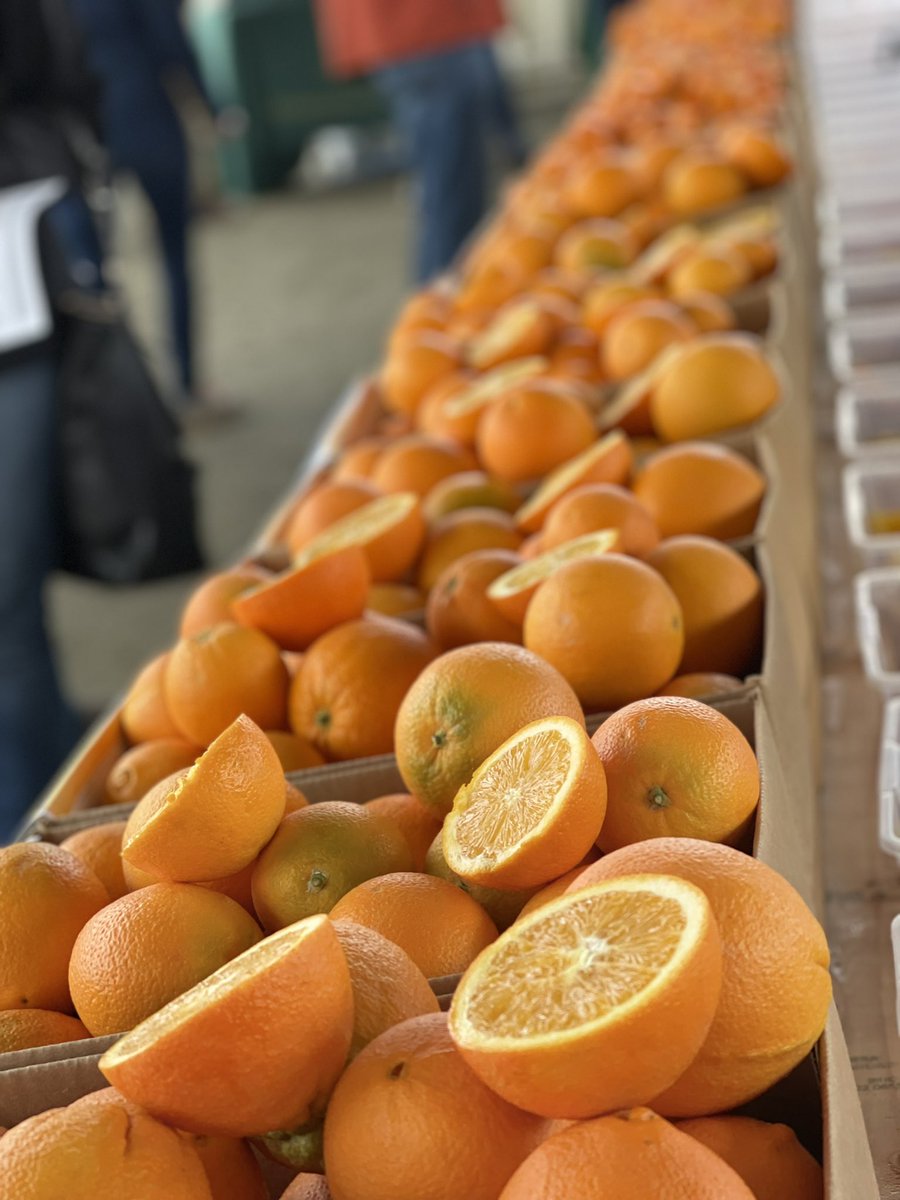 UC ANR Lindcove REC tweet media