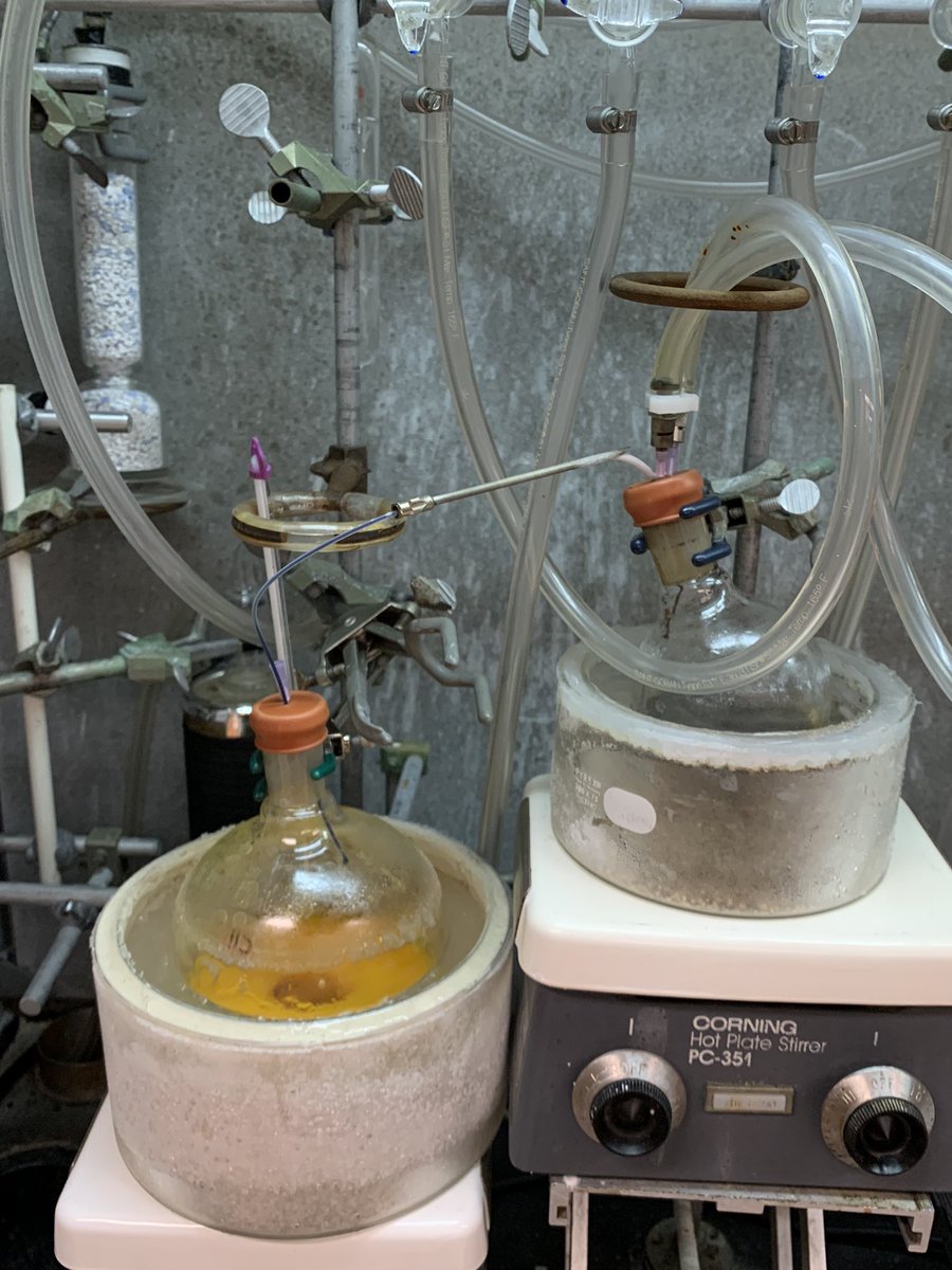ryan_jamesPhD's tweet photo. Methyl cuprate addition followed by a kinetic quench with iodine (shown in picture). This was a fun one! 

#organicchemistry #totalsynthesis #gradschool #chemistrynerd 🤓 https://t.co/dXOHhkOZD8