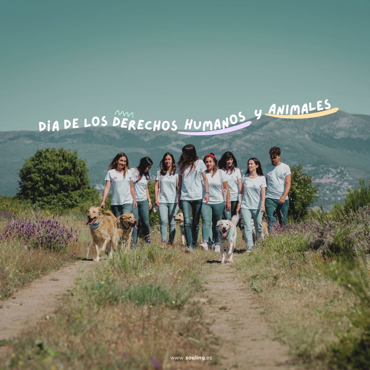 Hoy, 10 de diciembre se celebra el Día Internacional de los #DerechosHumanos 👧👩🏼👨🏾👱, y también desde 1997  de los #DerechosAnimales no Humanos 🐱🐴🐶🐷 para concienciar y reflexionar sobre el respeto que se debe tener hacia TODOS los #seressintientes (cada vez más cerca ✨)