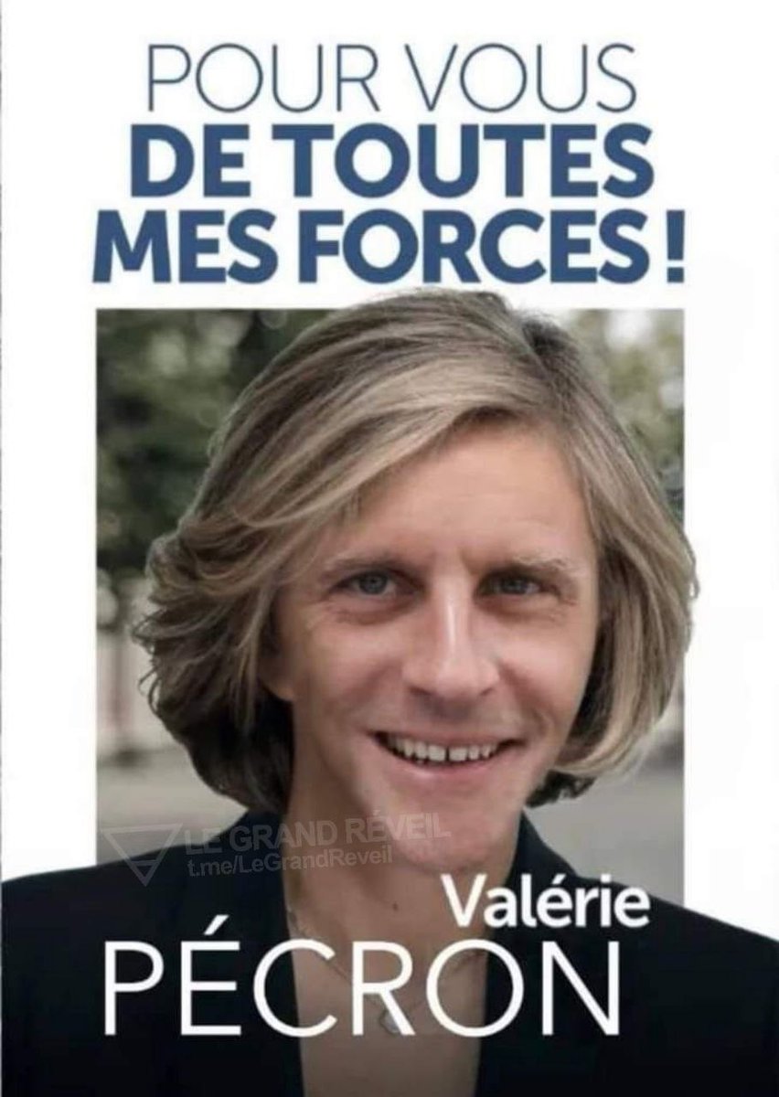 SOULIEAlain3's tweet photo. L’arnaque de la présidentielle… https://t.co/ZElLuZoJH4