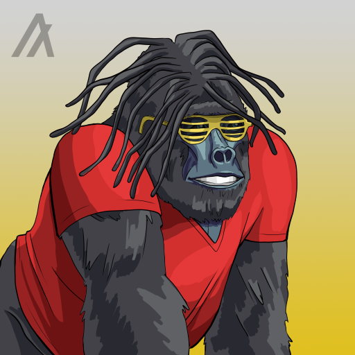 Algorillas.algo tweet media
