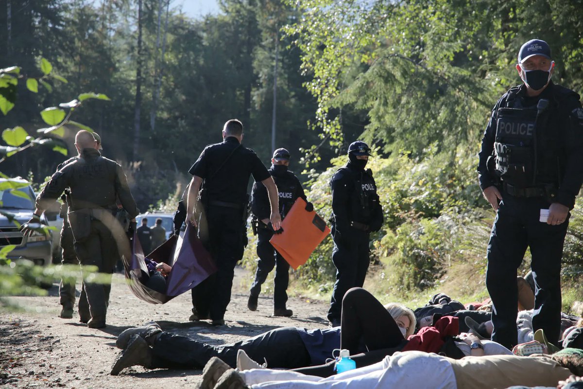 Over 1100 arrests - all to protect something that should never have been endangered.

Only a fraction of BC's iconic old growth forests remain yet more fall every day. Enough is enough. Protect the irreplaceable.

#ActOnClimate #climatecrisis #climate #fairycreek <a href="/bcndp/">BC NDP</a> <a href="/jjhorgan/">John Horgan</a>