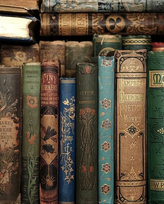 BookChat_'s tweet image. Beautiful row of books...📚📚📚Credit: lescargot.papier IG