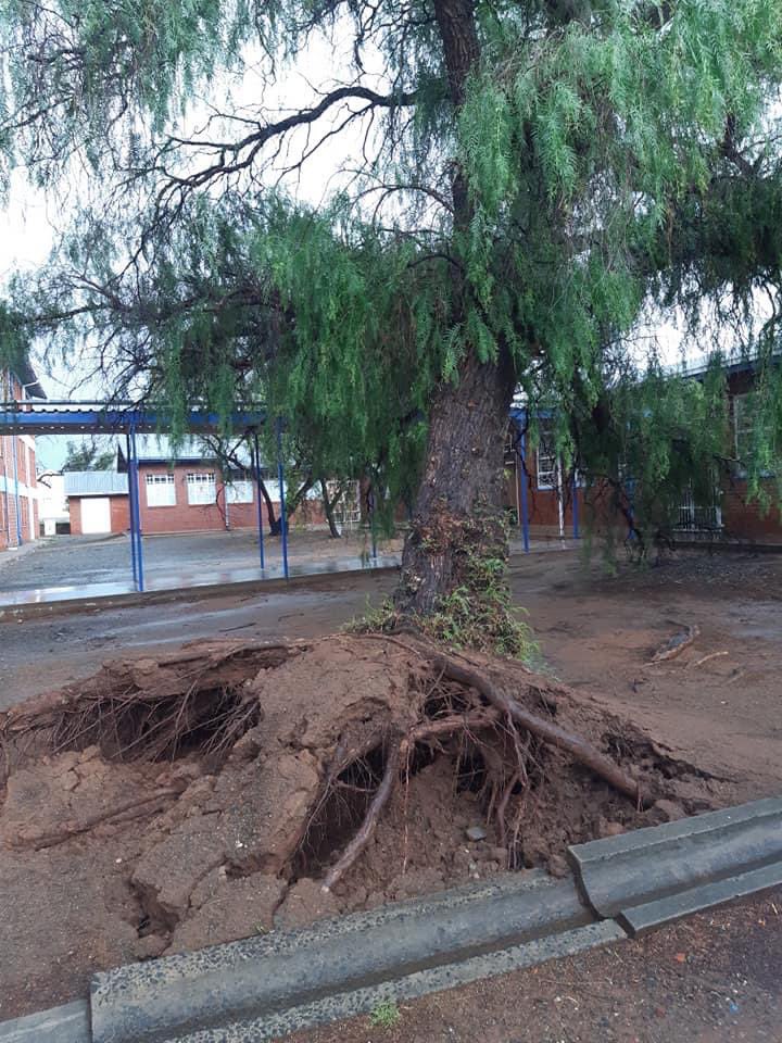 ReenvalSA's tweet photo. Groot windskade in Koffiefontein. 💨💨💨
📸Dirk de Vos
@JoelGuy_ @SAWeatherServic @peoples_weather @VoxWeatherZa @maroelamedia @landbou @ https://t.co/U6IFZqoi4K