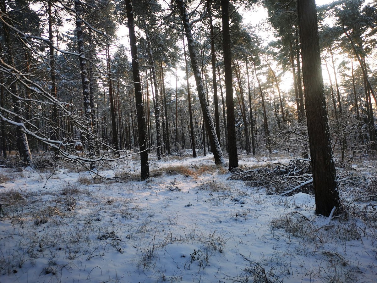 TbjLucy's tweet photo. Piękna zima w Jarosławcu ❄️ https://t.co/jyPFj3XKfM