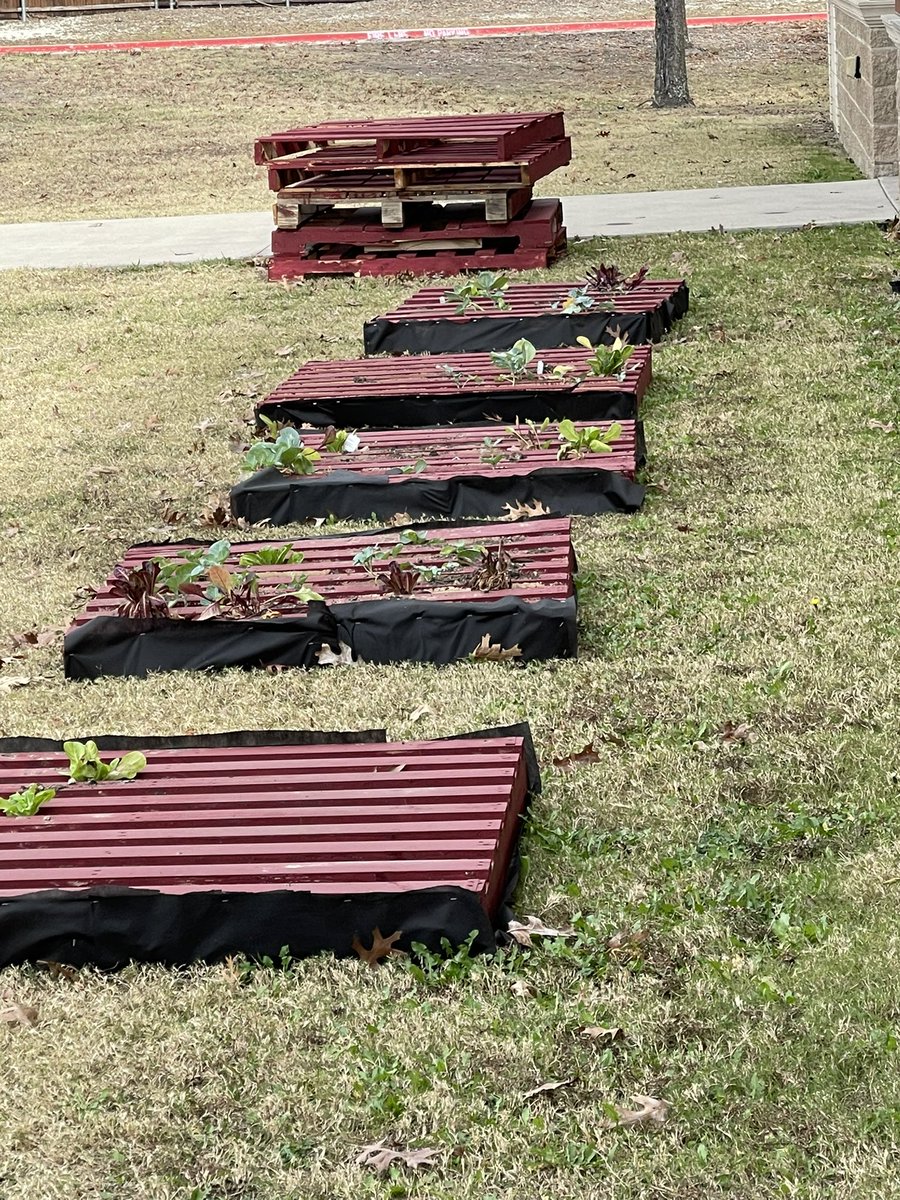 OttoCounseling's tweet photo. Growing is life🎉@ottobobcats https://t.co/TXU4ItC1uy