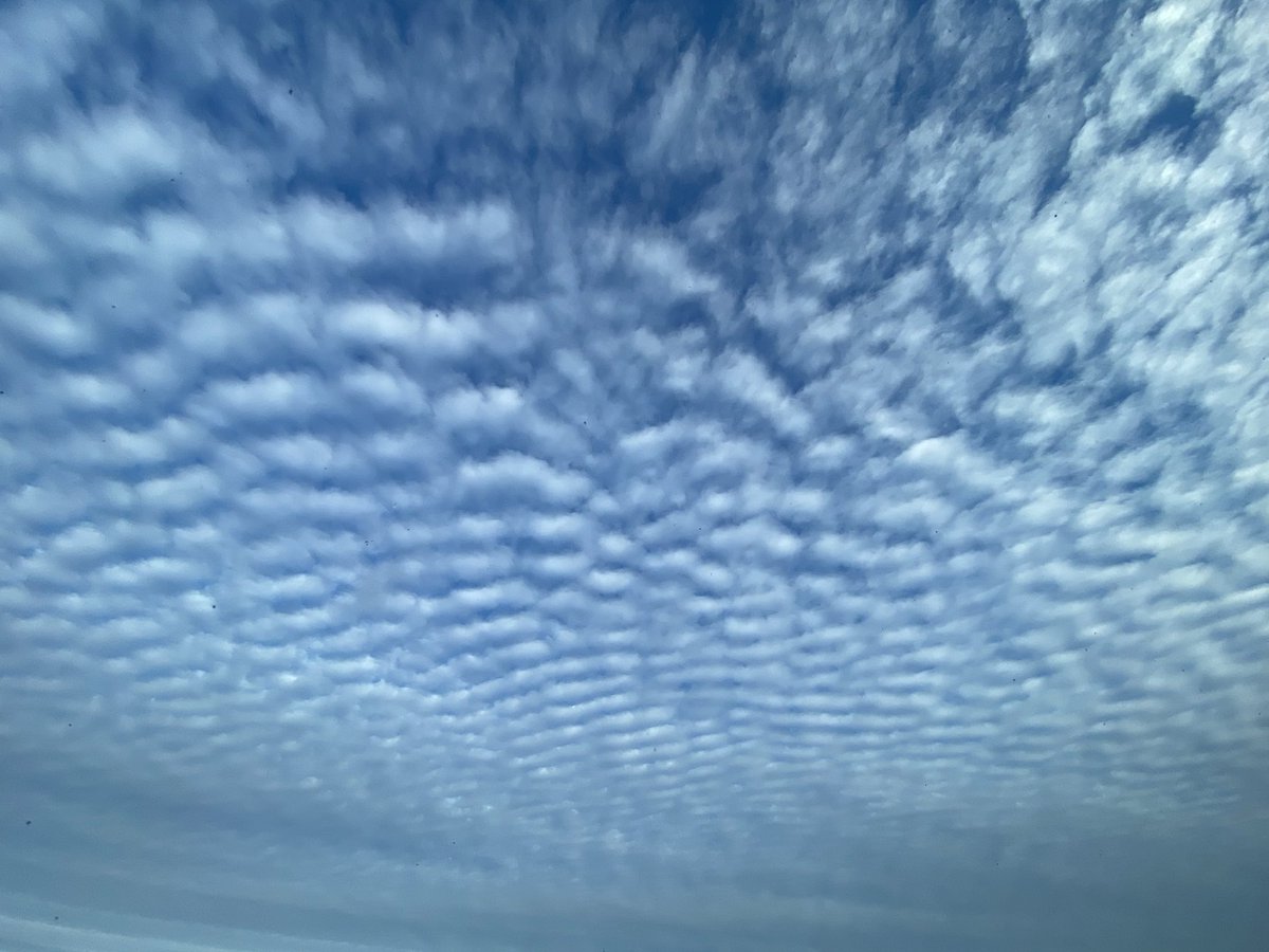 Maxime Gautreau tweet media