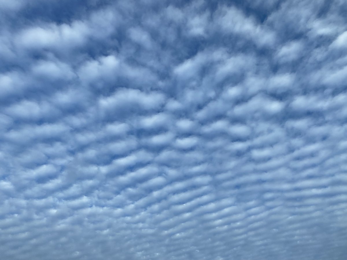 Maxime Gautreau tweet media