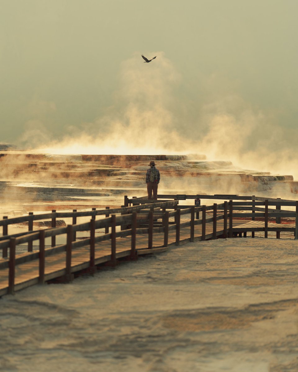 Sunrise at Yellowstone