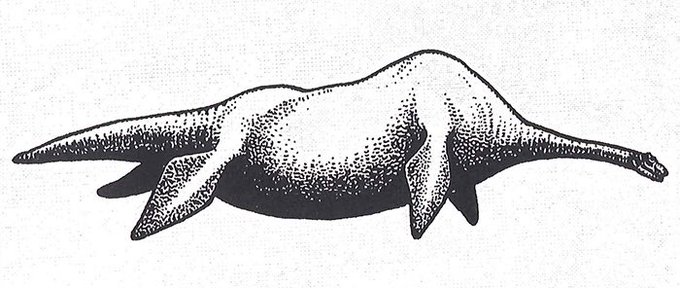 thinking of how much it rules when people draw nessie like this 